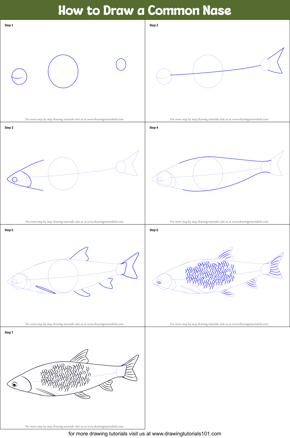 How to Draw a Common Nase Printable Step by Step