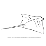 How to Draw a Cownose Ray