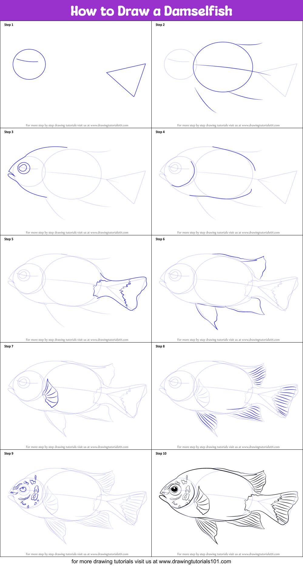How to Draw a Damselfish Printable Step by Step