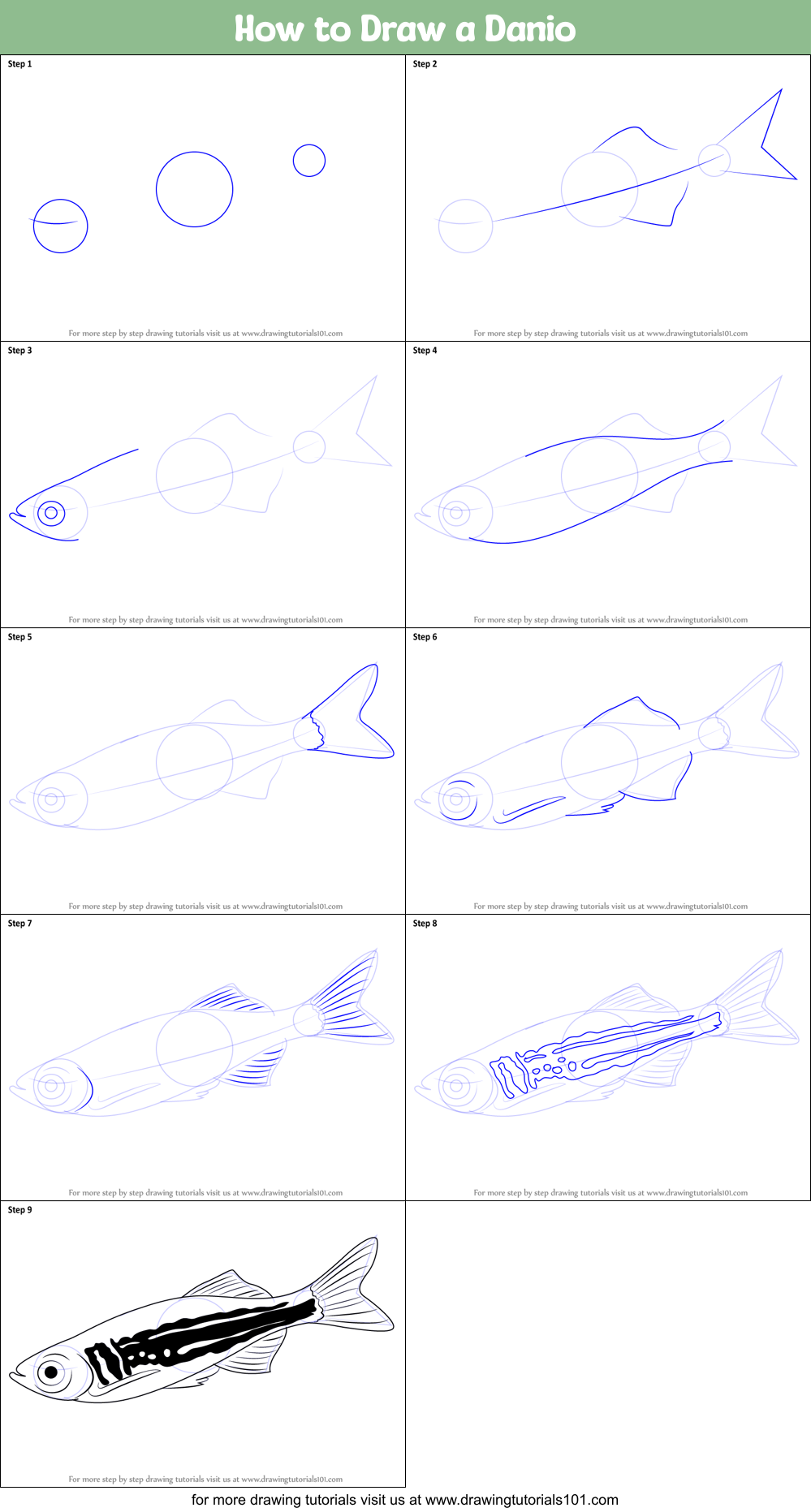 How to Draw a Danio Printable Step by Step