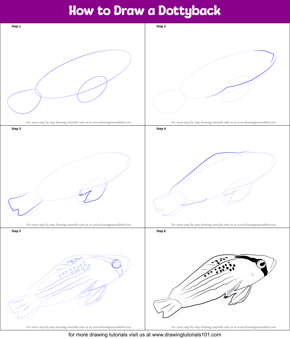 How to Draw a Dottyback Printable Step by Step