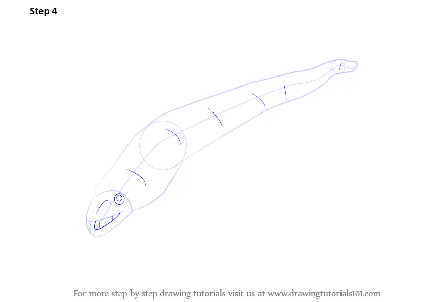 Learn How to Draw an Eel (Fishes) Step by Step : Drawing Tutorials