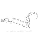 How to Draw a Frilled Shark