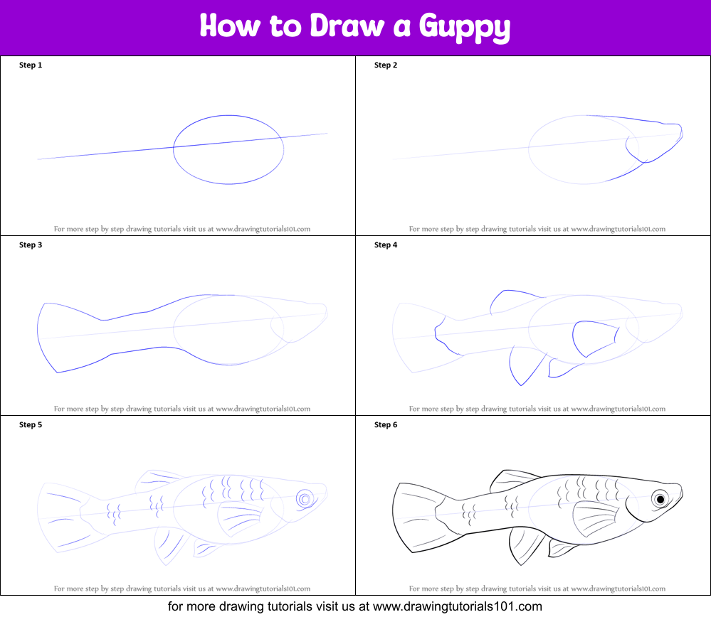 How to Draw a Guppy Printable Step by Step