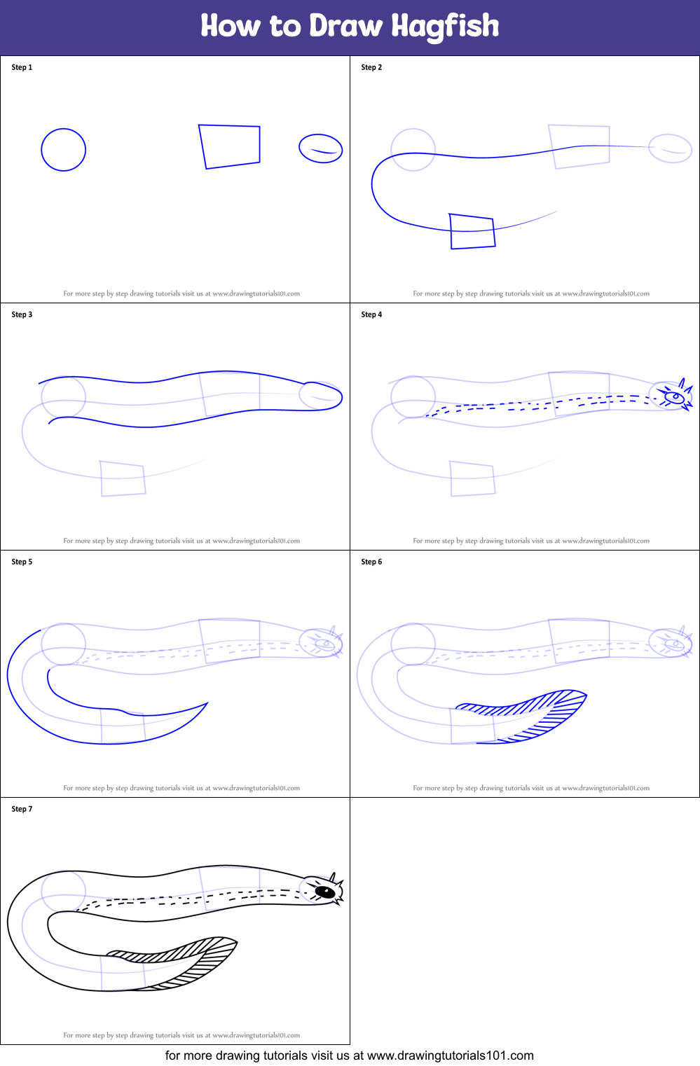How to Draw Hagfish Printable Step by Step