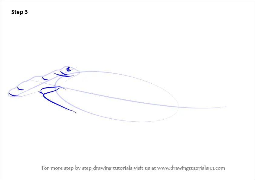 Learn How to Draw a Hammerhead Shark (Fishes) Step by Step : Drawing