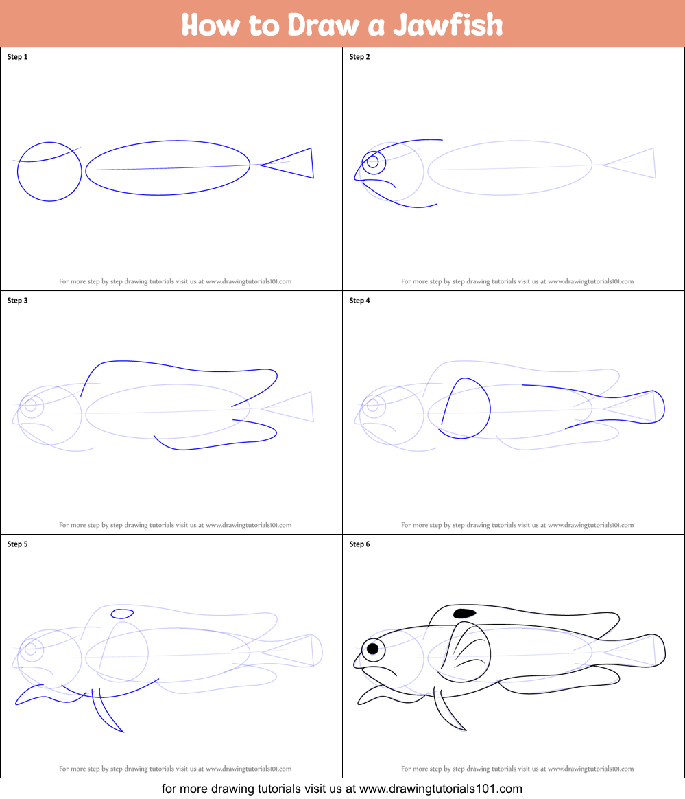 How to Draw a Jawfish Printable Step by Step