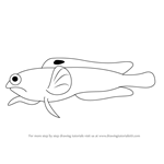 How to Draw a Jawfish