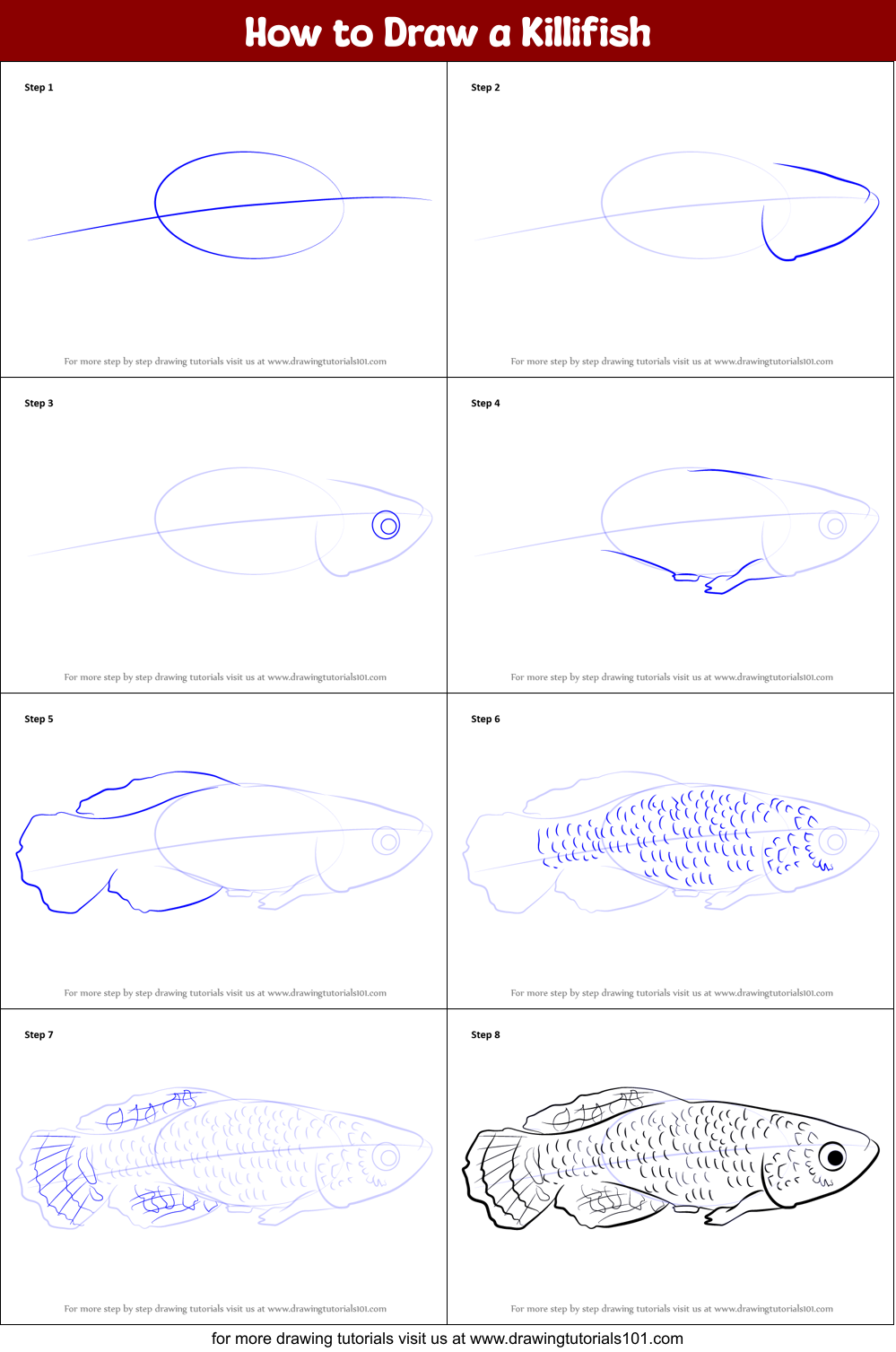 How to Draw a Killifish Printable Step by Step