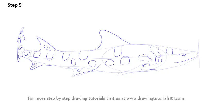 Learn How to Draw a Leopard Shark (Fishes) Step by Step : Drawing Tutorials