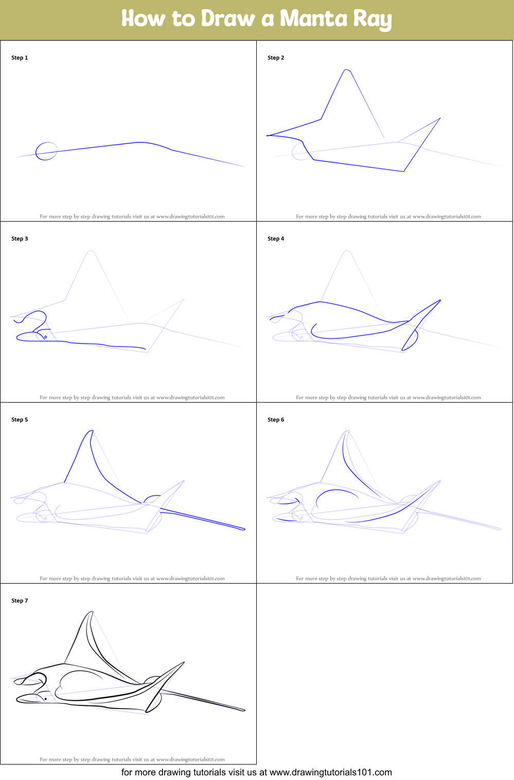How to Draw a Manta Ray Printable Step by Step