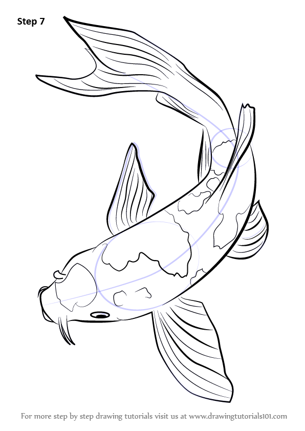 Fish sketch species with names isolated Royalty Free Vector