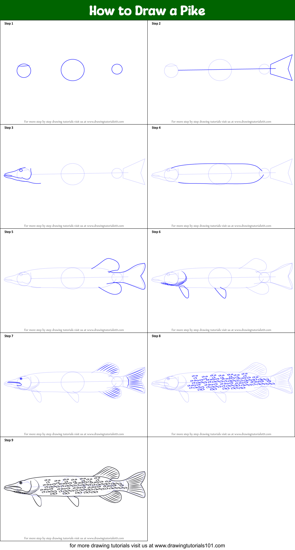 How to Draw a Pike Printable Step by Step