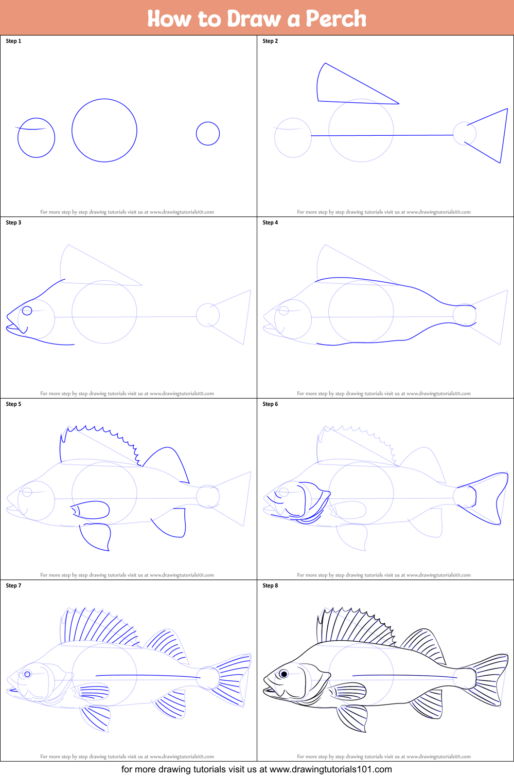 How to Draw a Perch Printable Step by Step