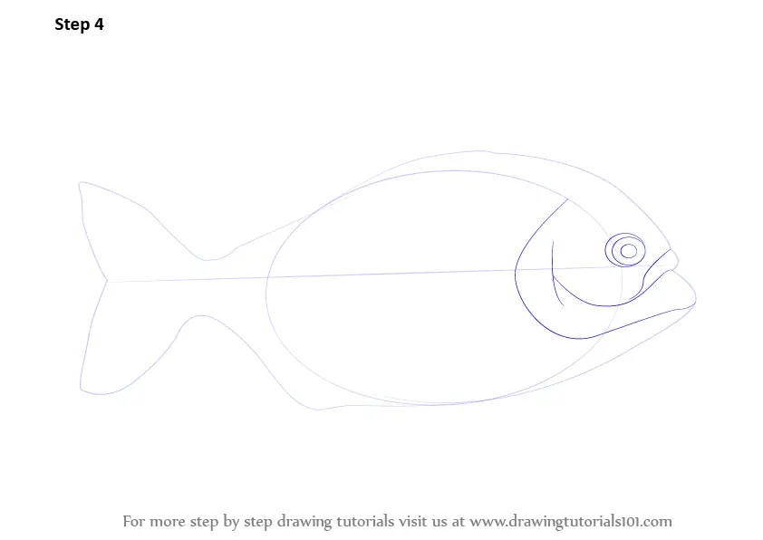 Step by Step How to Draw a Piranha : DrawingTutorials101.com
