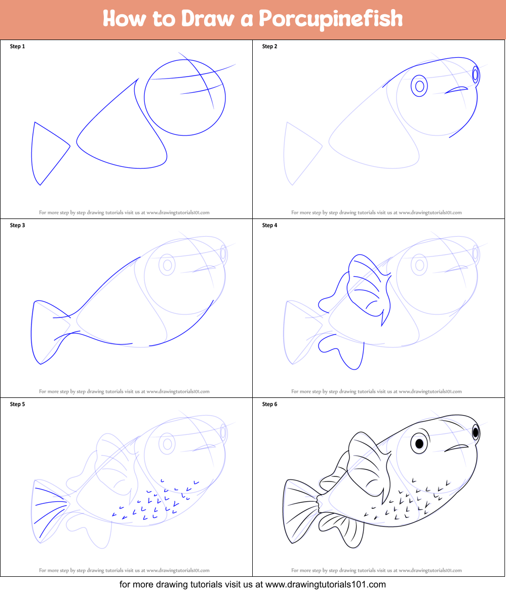How to Draw a Porcupinefish Printable Step by Step