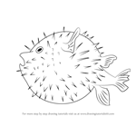 How to Draw a Pufferfish