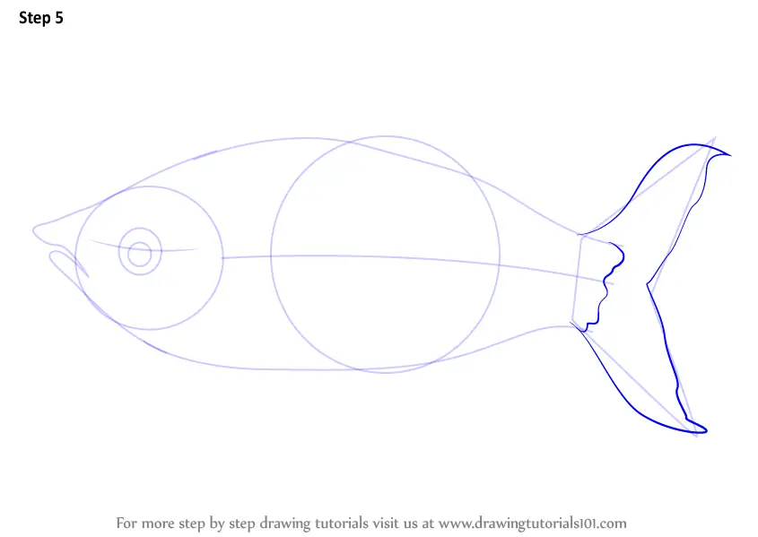 Learn How to Draw a Rainbow Fish (Fishes) Step by Step : Drawing Tutorials