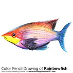 How to Draw a Rainbowfish