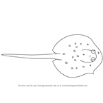How to Draw a Ray Fish