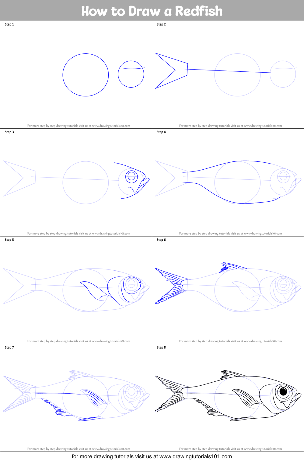 How to Draw a Redfish Printable Step by Step