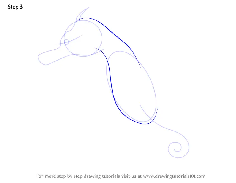 Learn How to Draw a Sea Horse (Fishes) Step by Step : Drawing Tutorials