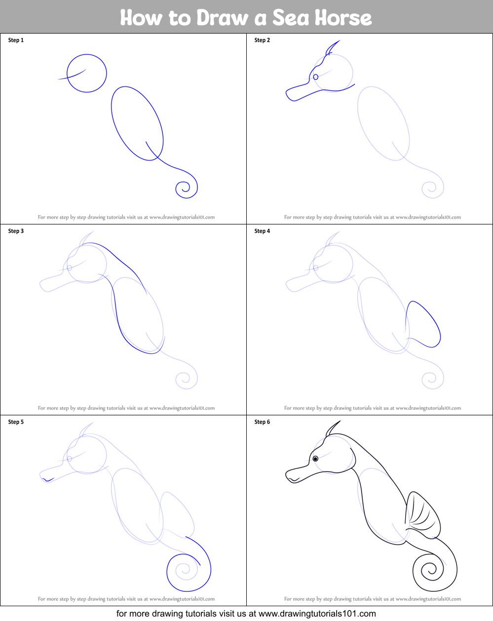 How to Draw a Sea Horse Printable Step by Step