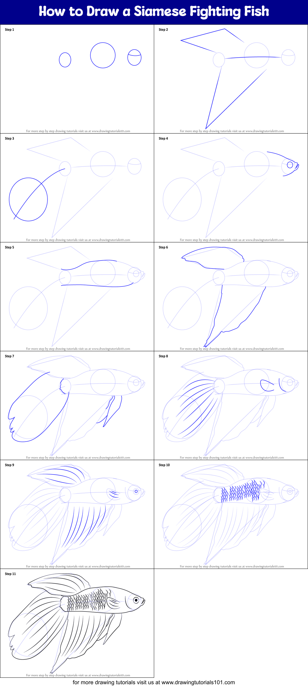 How to Draw a Siamese Fighting Fish Printable Step by Step