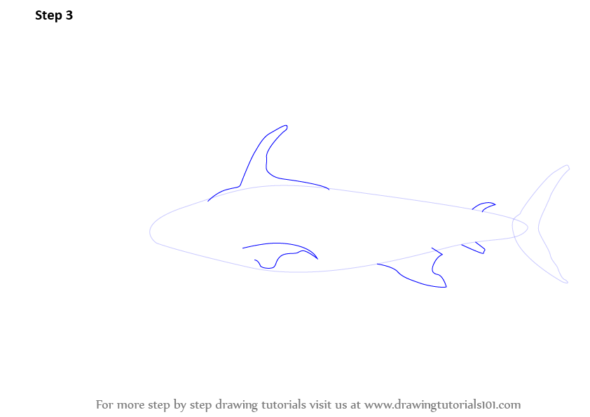 Step by Step How to Draw a Sword Fish