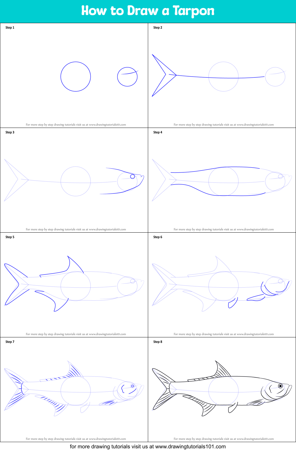 How to Draw a Tarpon Printable Step by Step