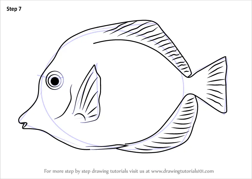 Learn How to Draw a Yellow Tang Fishes Step by Step ...