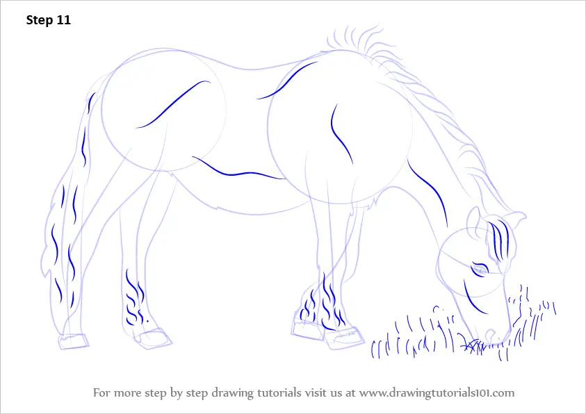 Learn How to Draw a Horse Eating Grass (Horses) Step by Step : Drawing