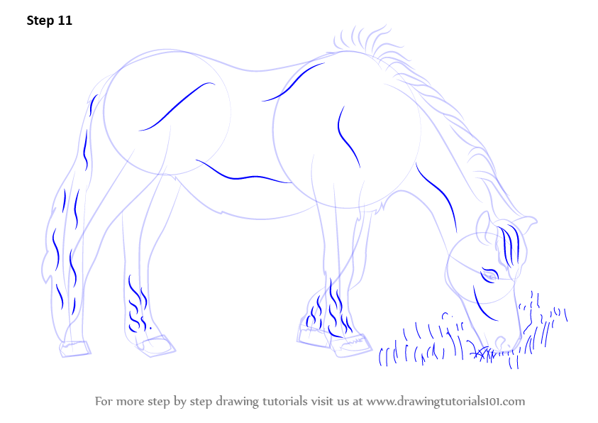 Learn How to Draw a Horse Eating Grass (Horses) Step by Step : Drawing