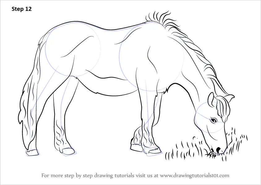 Learn How to Draw a Horse Eating Grass (Horses) Step by Step : Drawing