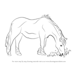 How to Draw a Horse Eating Grass
