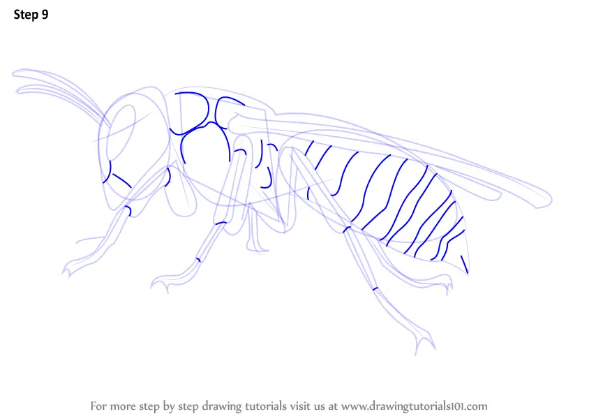 Ladybug and hornet sketch by Natallxz on DeviantArt