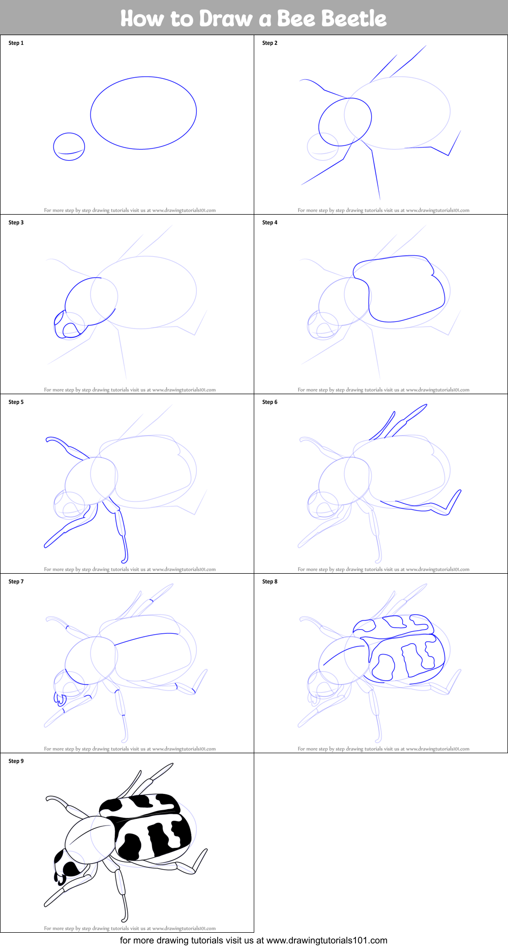 How to Draw a Bee Beetle Printable Step by Step