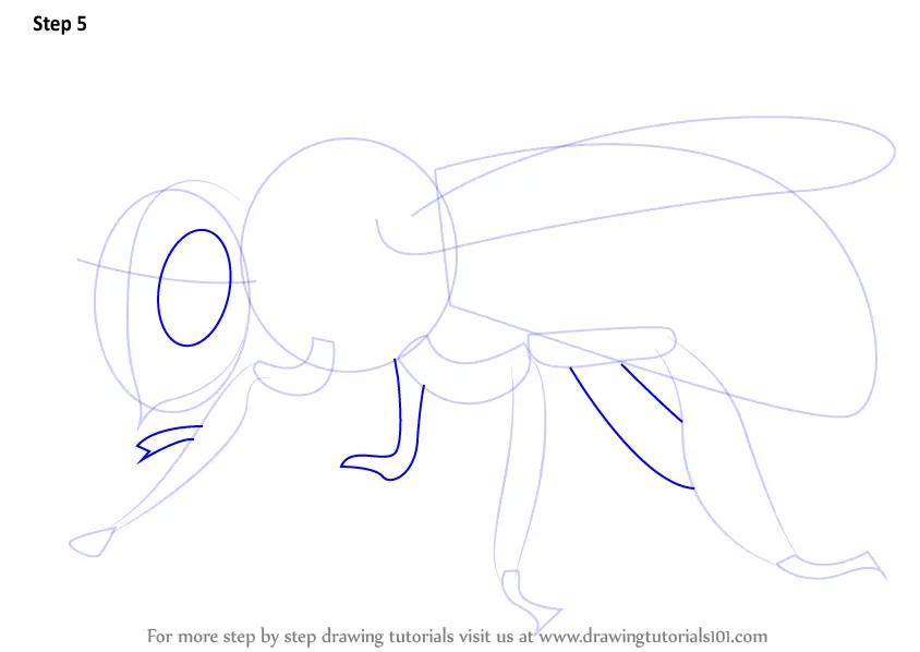 Learn How to Draw a Bee (Insects) Step by Step : Drawing Tutorials
