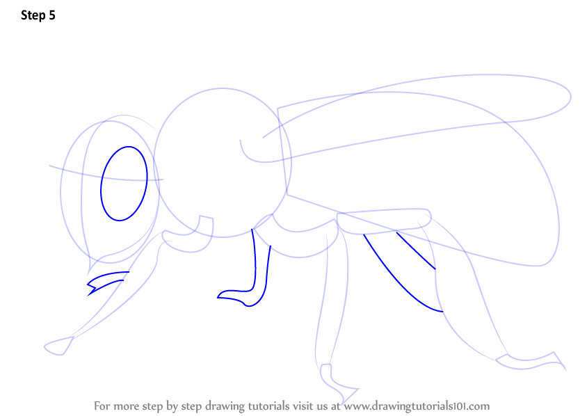 Learn How to Draw a Bee (Insects) Step by Step : Drawing Tutorials