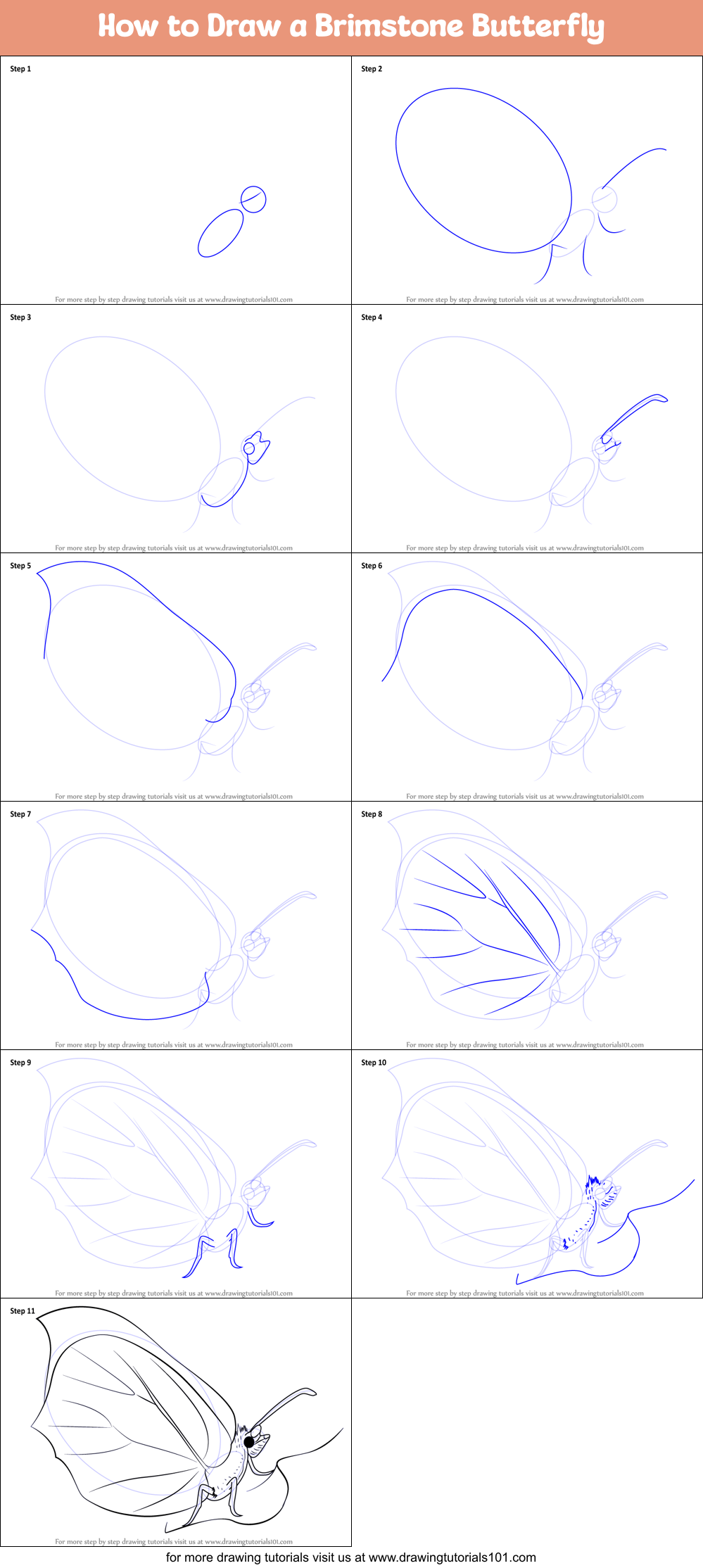 How to Draw a Brimstone Butterfly Printable Step by Step