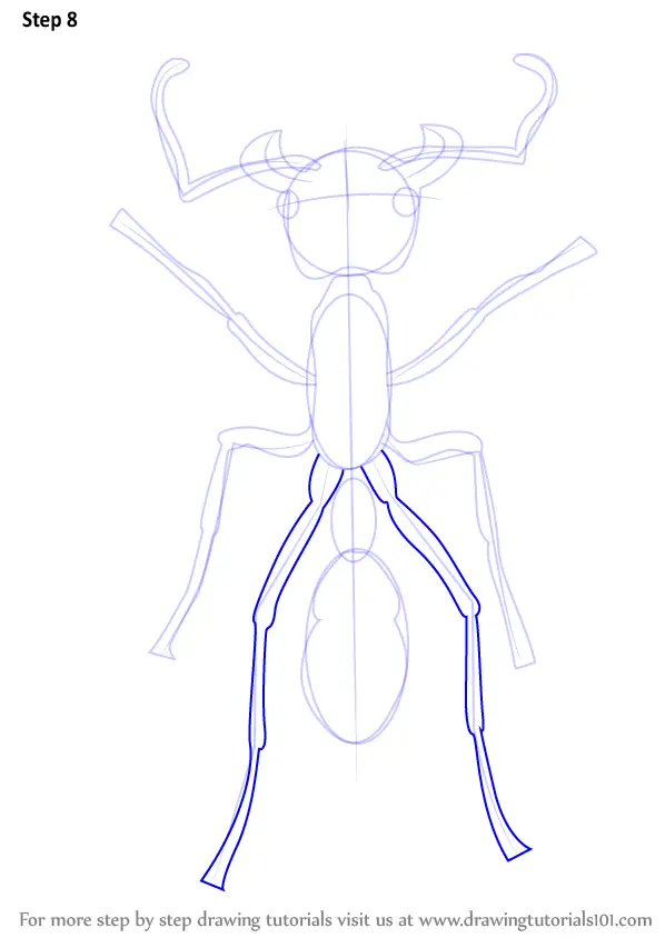 Learn How to Draw a Bullet Ant (Insects) Step by Step : Drawing Tutorials