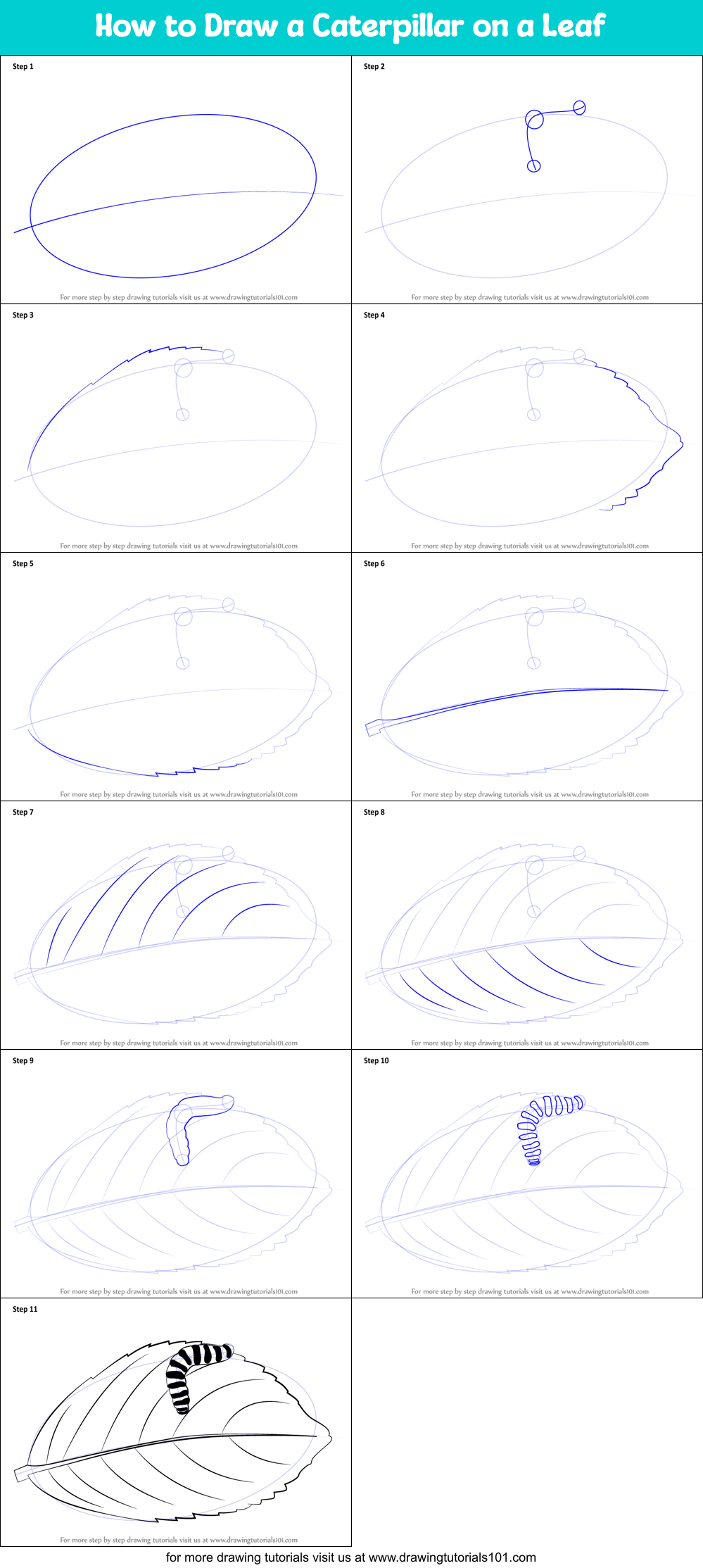 How To Draw A Caterpillar On A Leaf Printable Step By Step
