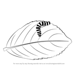 How to Draw a Caterpillar on a Leaf