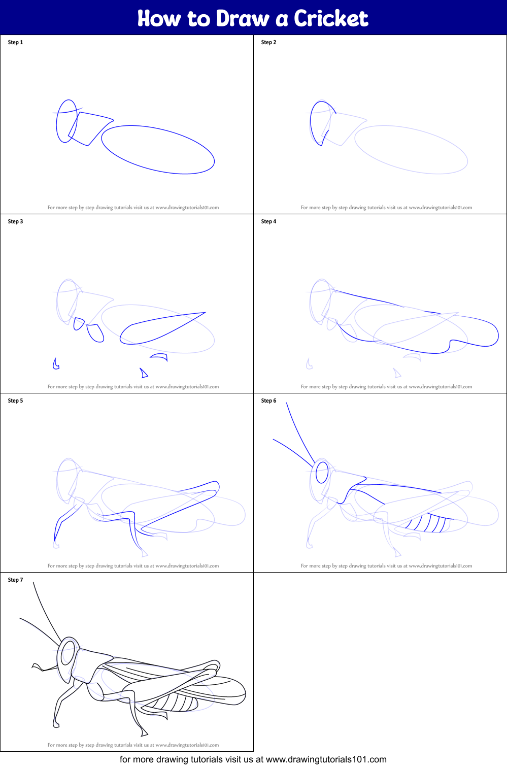 How To Draw A Cricket Printable Step By Step Drawing Sheet