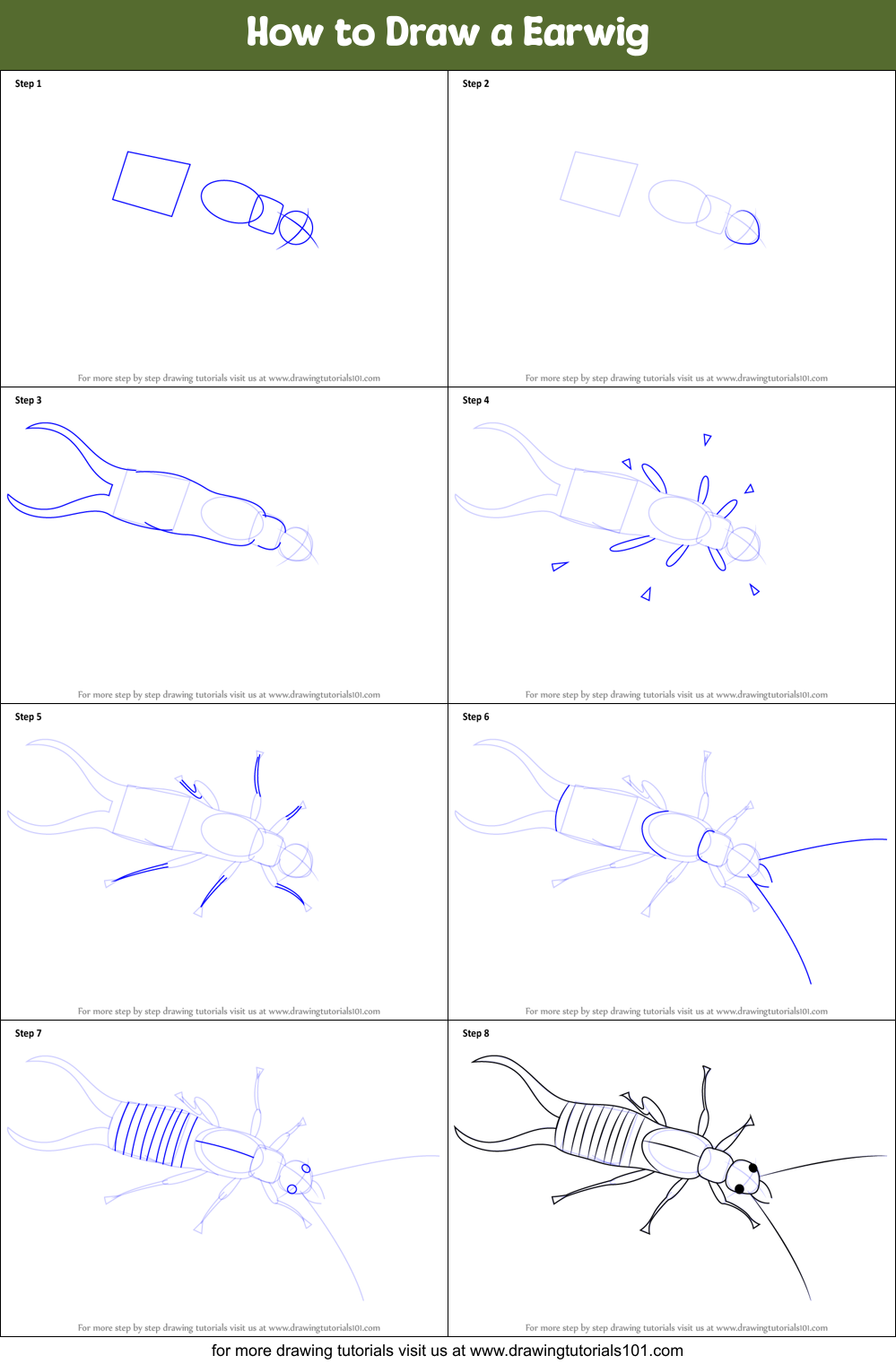 How to Draw a Earwig Printable Step by Step