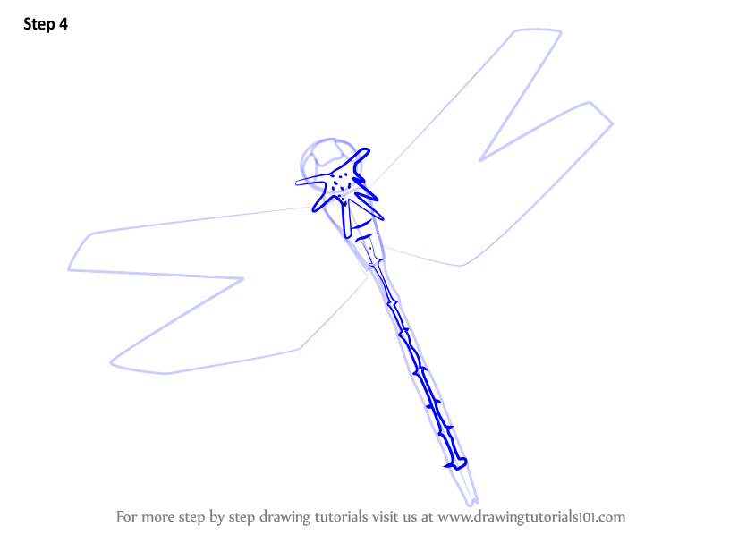 Learn How To Draw A Flying Dragonfly Insects Step By Step