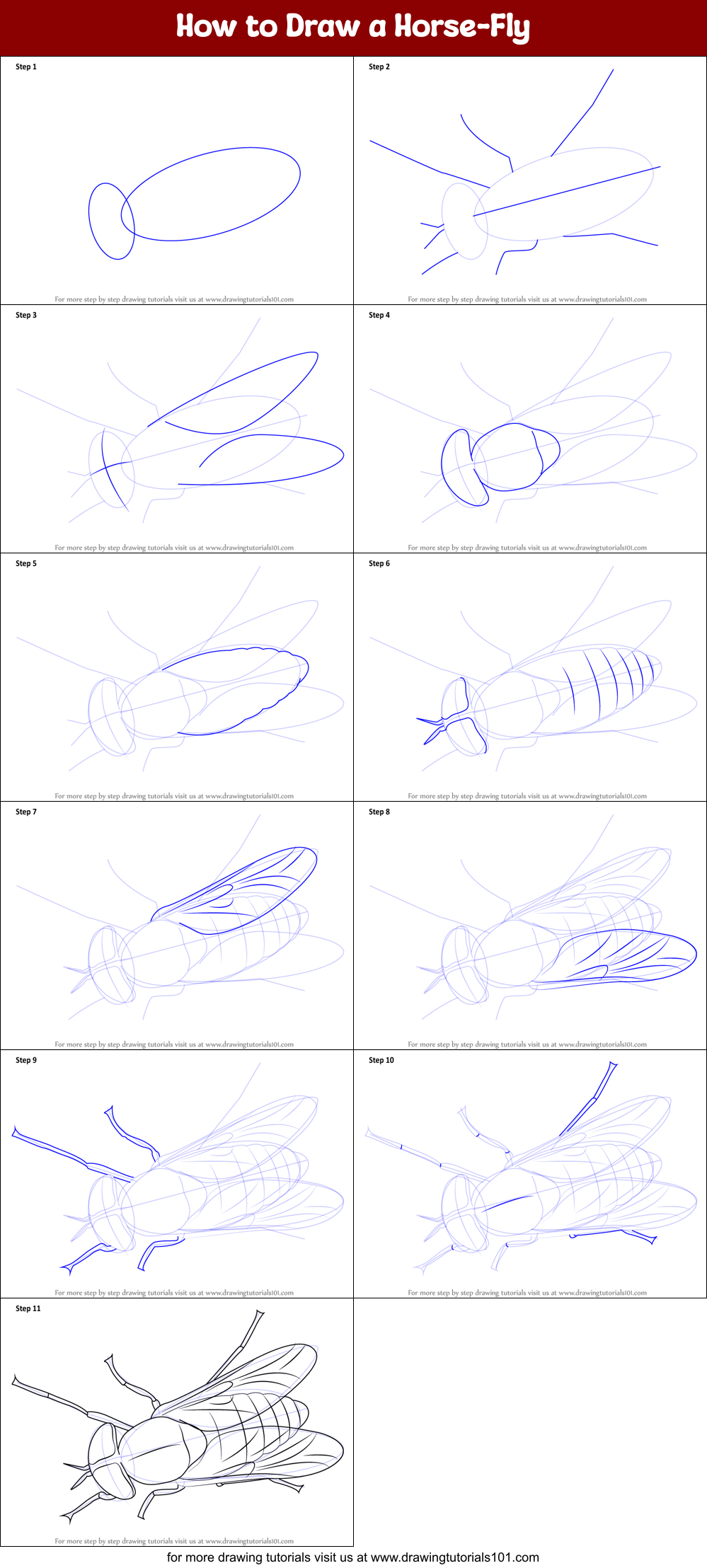 How to Draw a Horse-Fly Printable Step by Step