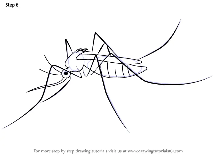 How to Draw a Mosquito Step by Step for Kids