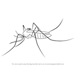 How to Draw a Mosquito