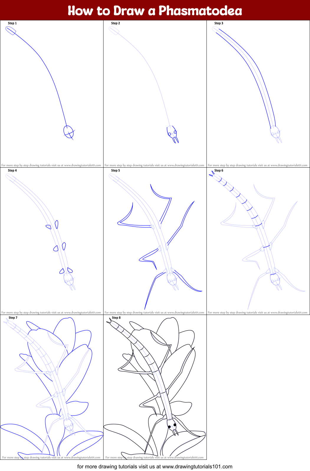 How to Draw a Phasmatodea Printable Step by Step